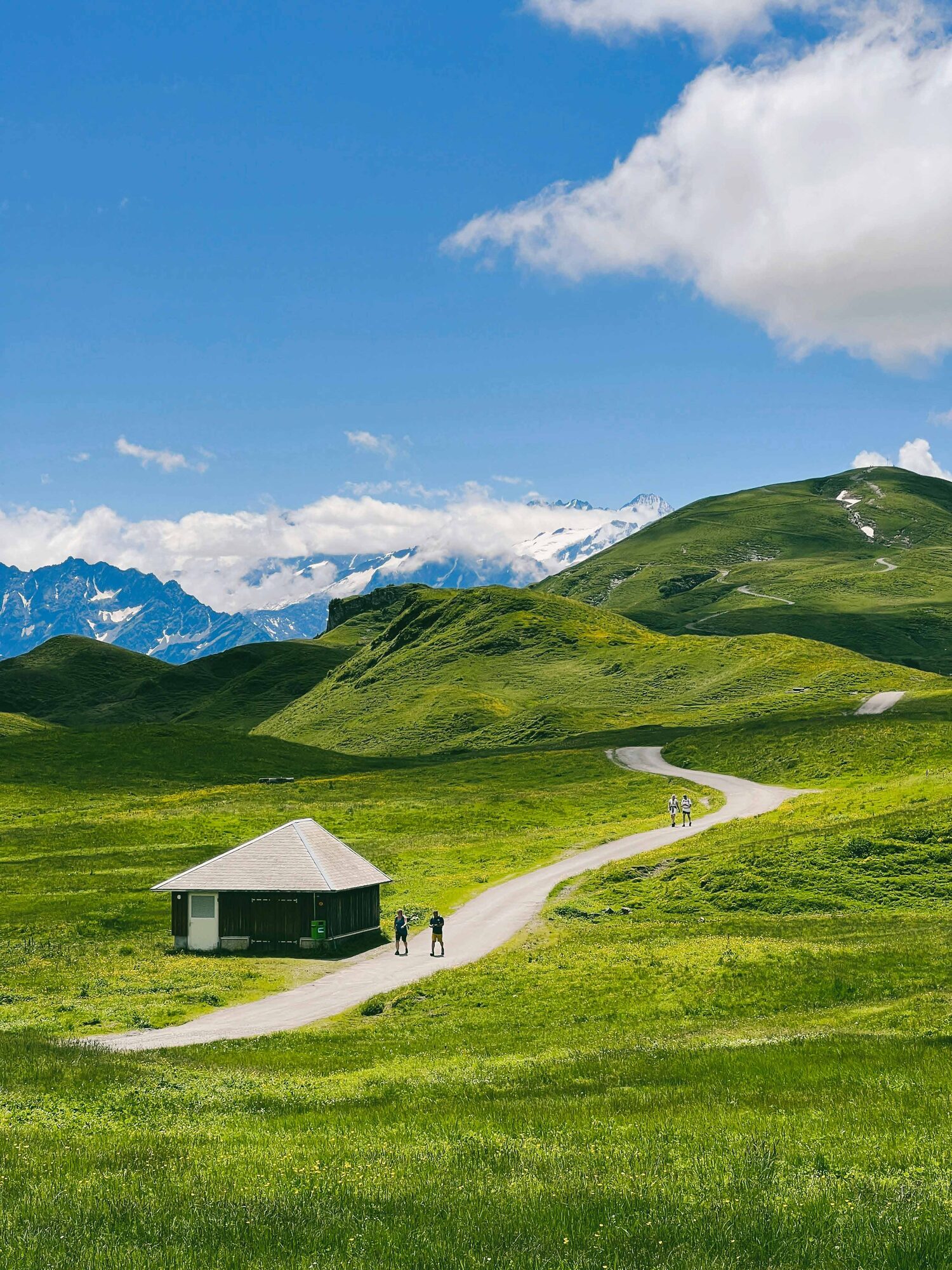 Winding path through green hills